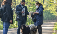 100 лв първоначална глоба за разходка на куче без повод в парка