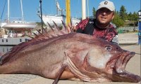 В Черно море е обявен лов на риби, способни да погълнат човек