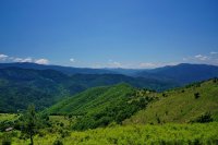 Мъртви животни и редки видове птици са открити в Западна Странджа