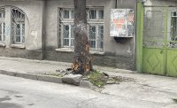 19-годишен е в тежко състояние, след като се заби в дърво