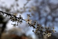 ВРЕМЕТО ДНЕС: Мрачно и облачно с валежи от дъжд, а по планините сняг