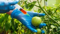Новите геномни техники: иновации за устойчиво и конкурентоспособно земеделие