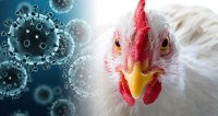 ИЗВЪНРЕДНО: Човечеството е заплашено от нова смъртоносна пандемия