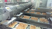 Ще изчезнат ли кафявите яйца от магазините?