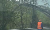 ПЪЛЕН АБСУРД! Работници изхвърлят асфалт край пътя на Прохода на Републиката (ВИДЕО)