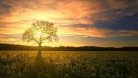 Ето какво ще бъде времето на 27 април