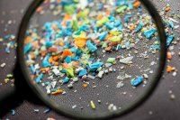 Проучване откри микропластмаса в човешките тестиси