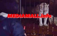 СИГНАЛ ДО MEDIAMALL: Щурмуваха зоологическата градина в София (ВИДЕО)