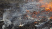 Два пожара избухнаха в Сакар планина