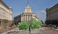 БОМБА! Депутати отглеждат домати в двора на парламента (СНИМКИ)