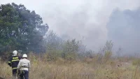 Пожар избухна в труднодостъпна местност над пернишкото село Чуйпетлово