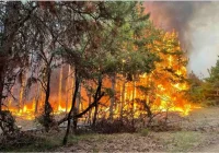 Бедствено положение в Харманли и Тополовград
