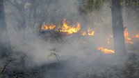Пожарът в планината Славянка е овладян
