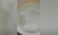 Паразит в питейната вода предизвика паника в лясковско село