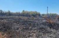 Пожар край село Габровница в Монтанско
