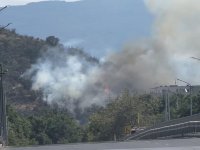 Пожар пламна в подножието на Младежкия хълм в Пловдив