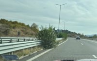 Пълно безхаберие в АПИ! Магистрала &ldquo;Струма&rdquo; изчезва обраснала в плевели
