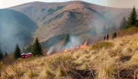 Пожар избухна над Берковица в близост до връх Ком