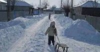 Ново проучване: Зимата вече няма да е същата, каквато я помним от детството