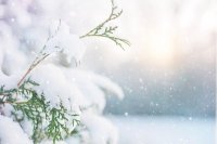 Какво ще бъде времето днес