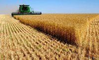 Зърнопроизводителите се опасяват за рисковете земеделска продукция от Южна Америка да залее Европа