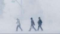 Времето в понеделник: Сняг и виелици в цялата страна
