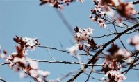 Времето днес: Хладно, облачно и с дъжд на места в България