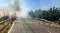 Пожар блокира пътя между селата Звъничево и Лозен в Пазарджишко