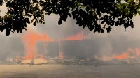 Пожар край Пазарджик излезе извън контрол