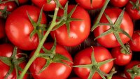 САЩ наложиха 17% мито върху вноса на домати от Мексико