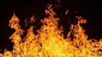 Община Белоградчик обяви бедствено положение заради голям пожар в пет села