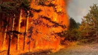 Голям пожар между Граничак и Дъбравка, застрашени са къщи