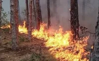 Бушуващите пожари принудиха Сърбия да обяви извънредно положение