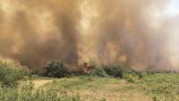 Пожарът край река Илийна в Рила се възобнови, очаква се хеликоптер за гасене