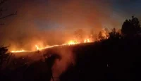 България продължава битката с пожарите: Над 150 000 дка изпепелени