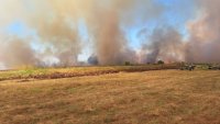 BG-ALERT алармира за риск от навлизане на пожар в ямболско село