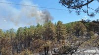 Столични аварийни екипи и доброволци помагат за овладяване на горския пожар край Илинденци