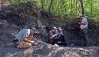 Палеонтолози разкриха нови динозавърски находки и фосилна флора в Трънско (СНИМКИ)