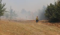 Пожарът в село Разбойна е овладян, остава дежурен екип за предотвратяване на ново възпламеняване