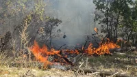 Пожар гори в местността Трънски обор
