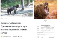 Ако оцелееш &ndash; пишеш жалба: абсурдът при нападение от мечка в Троянска област