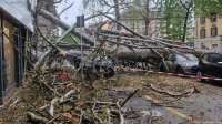   Разрушителни ветрове в Италия: Дървета и покриви пострадаха край Милано
