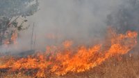 Пожарът в Сакар, обхванал близо 13 000 декара, е локализиран