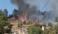 Голям пожар избухна в покрайнините на град Сухиндол (СНИМКИ)