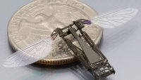 Американската армия тества микророботи: От RoboBee до хлебарки-киборги
