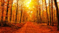 Ето какво ще бъде времето днес