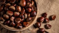   Кестените &ndash; вкусната есенна ядка с мощни лечебни свойства