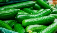 30% поскъпване на краставиците за пет месеца &ndash; кой надува цените?
