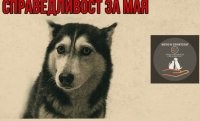 Протест &bdquo;Справедливост за Мая&ldquo;: Хиляди настояват за по-строги наказания при насилие над животни