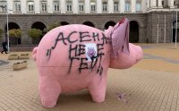 ФАЛШИВА НОВИНА ИЛИ ГРАМАТИЧЕСКА ГРЕШКА? Депутатът от &ldquo;ДПС - Ново начало&rdquo; Станислав Анастасов написа върху розовото прасе пред Президентството шокиращ текст (ВИДЕО)